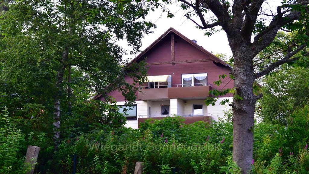 Sonnenglueck Mit Schwimmbad Apartment Braunlage Cameră foto